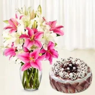 Vase arrangement of 10 pink and white lilies with choco chips cake 