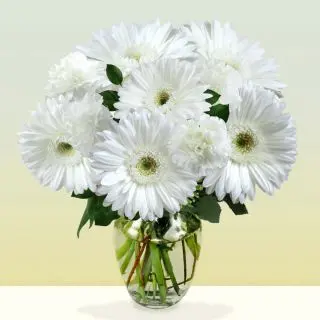 Vase arrangement of 10 white gerberas  flowers 