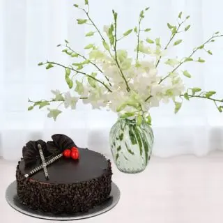 Vase arrangement of 10 white orchids with Half kg choco chips cake 