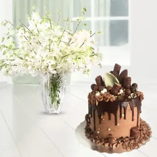 Vase Arrangement of 10 white orchids with chocolate explosion cake 