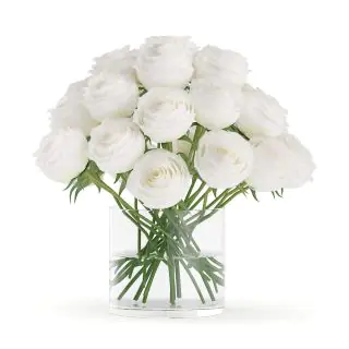 Vase arrangement of 12 milky white roses 