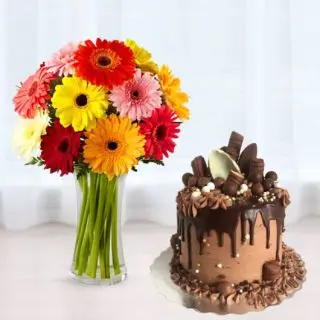 Vase arrangement of 12 mix colour gerberas with chocolate explosion cool cake 
