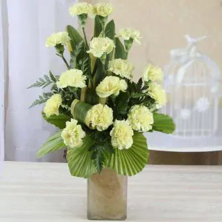 Vase arrangement of 15 white carnations 
