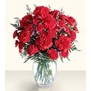 Vase Arrangement of 20 red carnations 