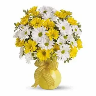Vase Arrangement of 40 yellow and white gerberas  