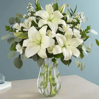 Vase arrangement of 5 white lilies 