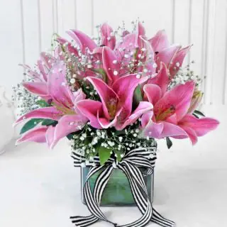 Vase Arrangement of 6 pink lilies 