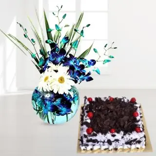 Vase arrangement of blue orchids with white gerberas with black forest cake 