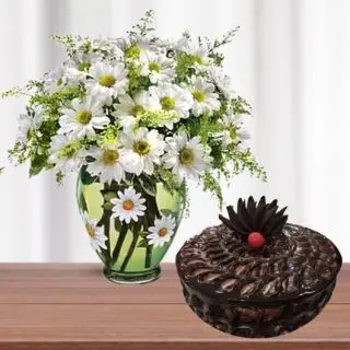 Vase arrangement of white daisy with half kg chocolate fudge cake 