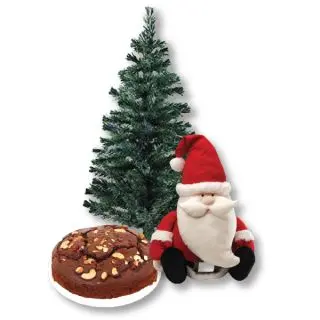 2 Feet Height Christmas Tree With 1 Kg Rich Dry Fruit Plum Cake With Santa Clause Toy
