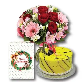 Bunch Of 20 Red And Pink Carnations With 1 Kg Pineapple Cake With Christmas Greeting Card